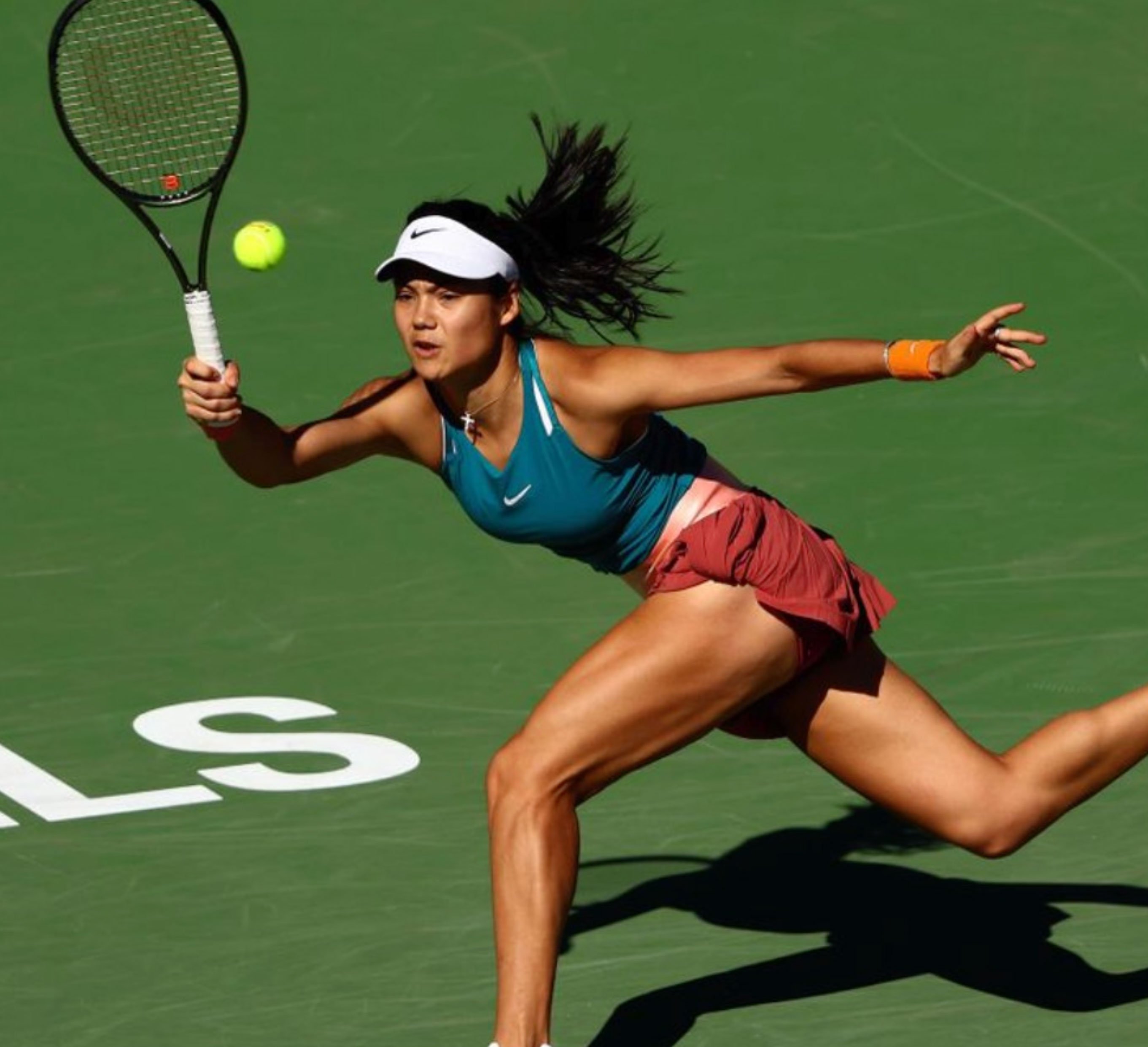 The Sports Enthusiast